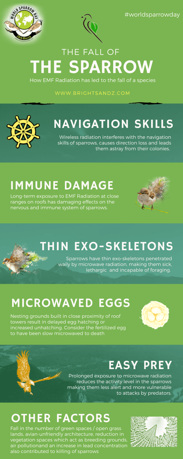 Disappearing sparrows and EMF Radiation