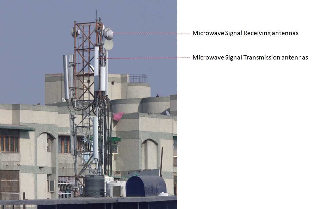 The circular antennas are used to receive microwave signals. The rectangular ones are used for transmission,